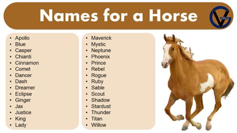 a to z horses running today